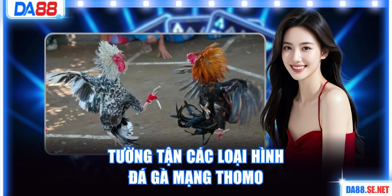Tường tận về các loại hình đá Thomo